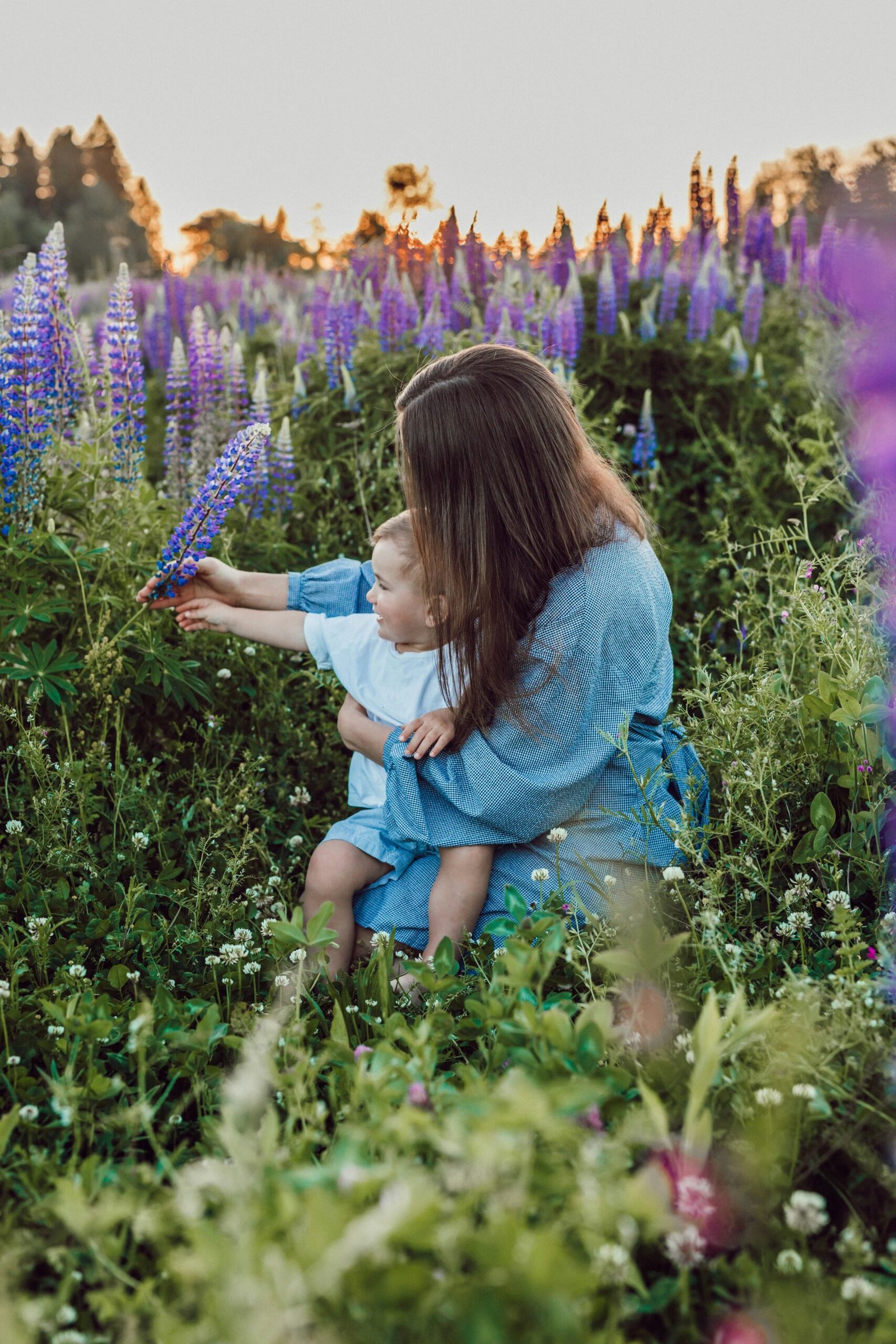 Mother and young child sitting in a field of purple lupine flowers at sunset